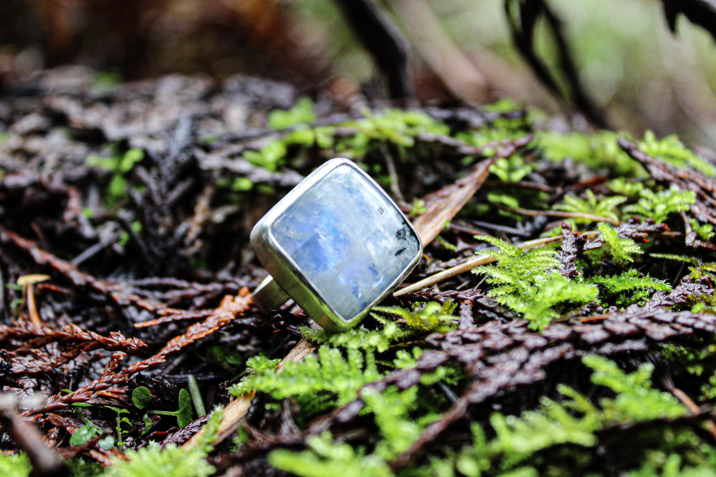 Mourning | Rainbow Moonstone | Ring Size:: 7