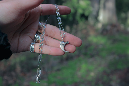 Bobcat Claw Necklace