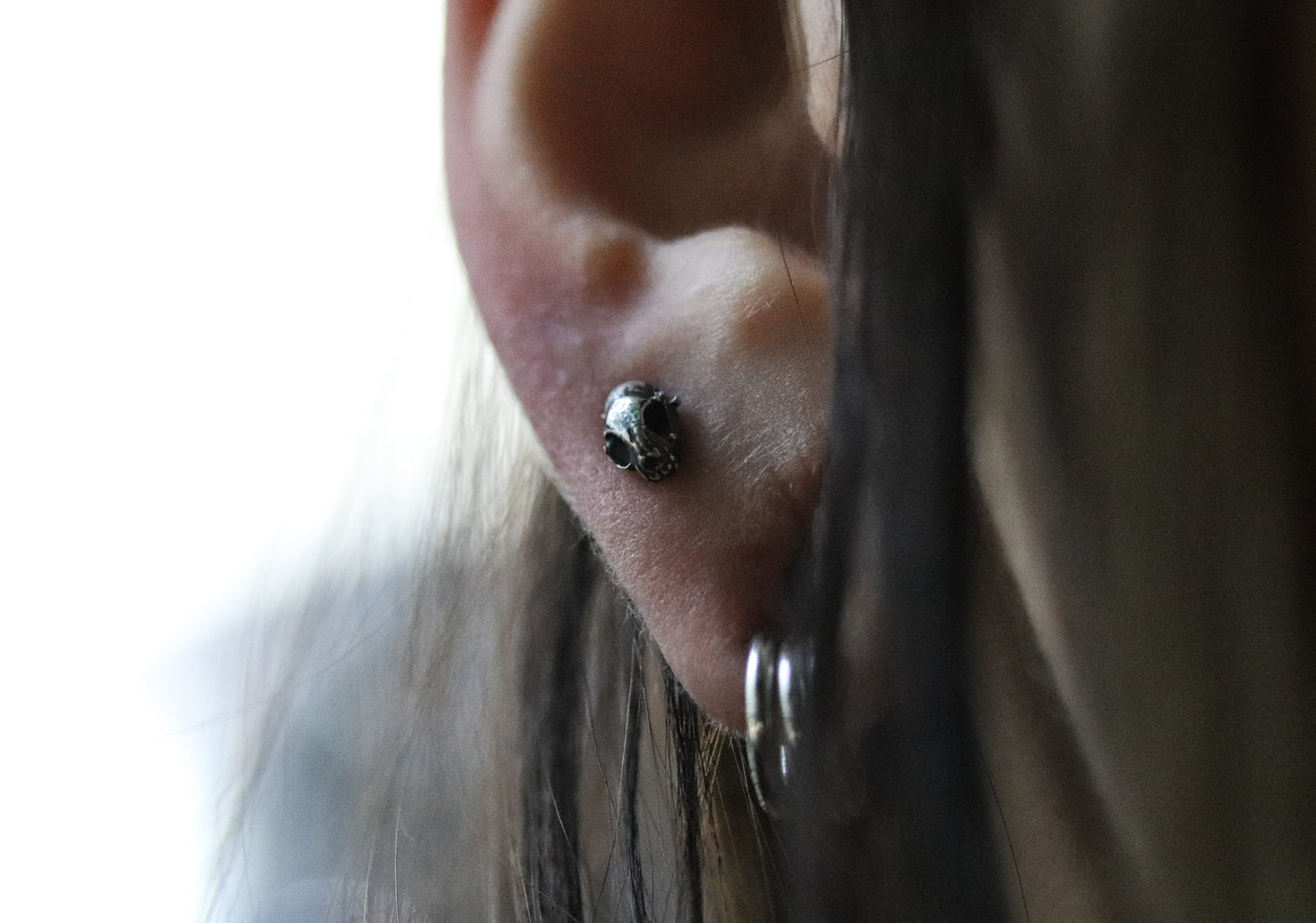 Mischief | Raccoon Skull Studs