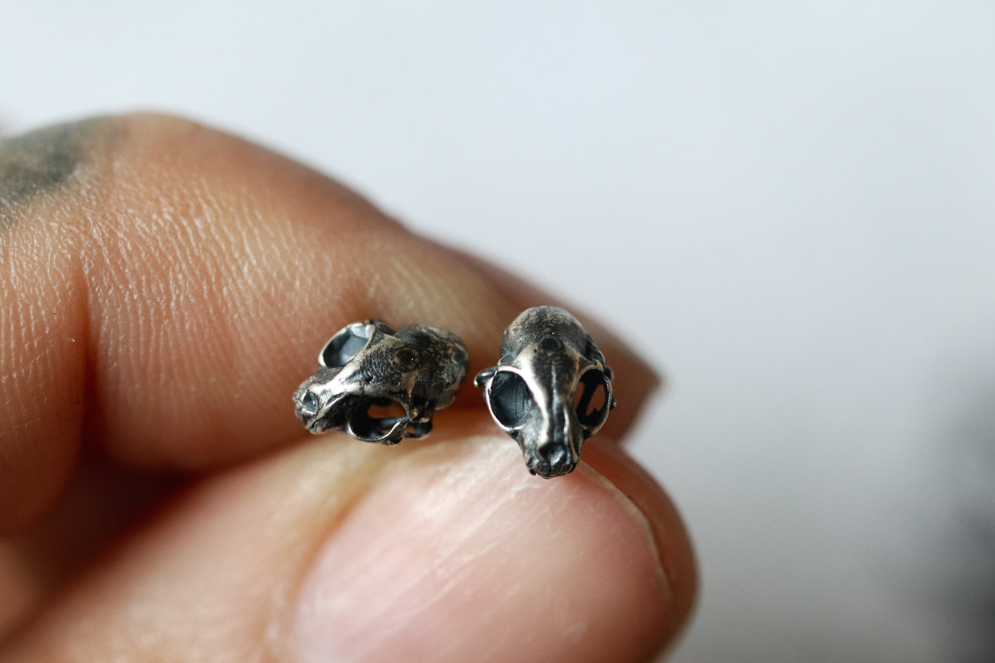 Mischief | Raccoon Skull Studs