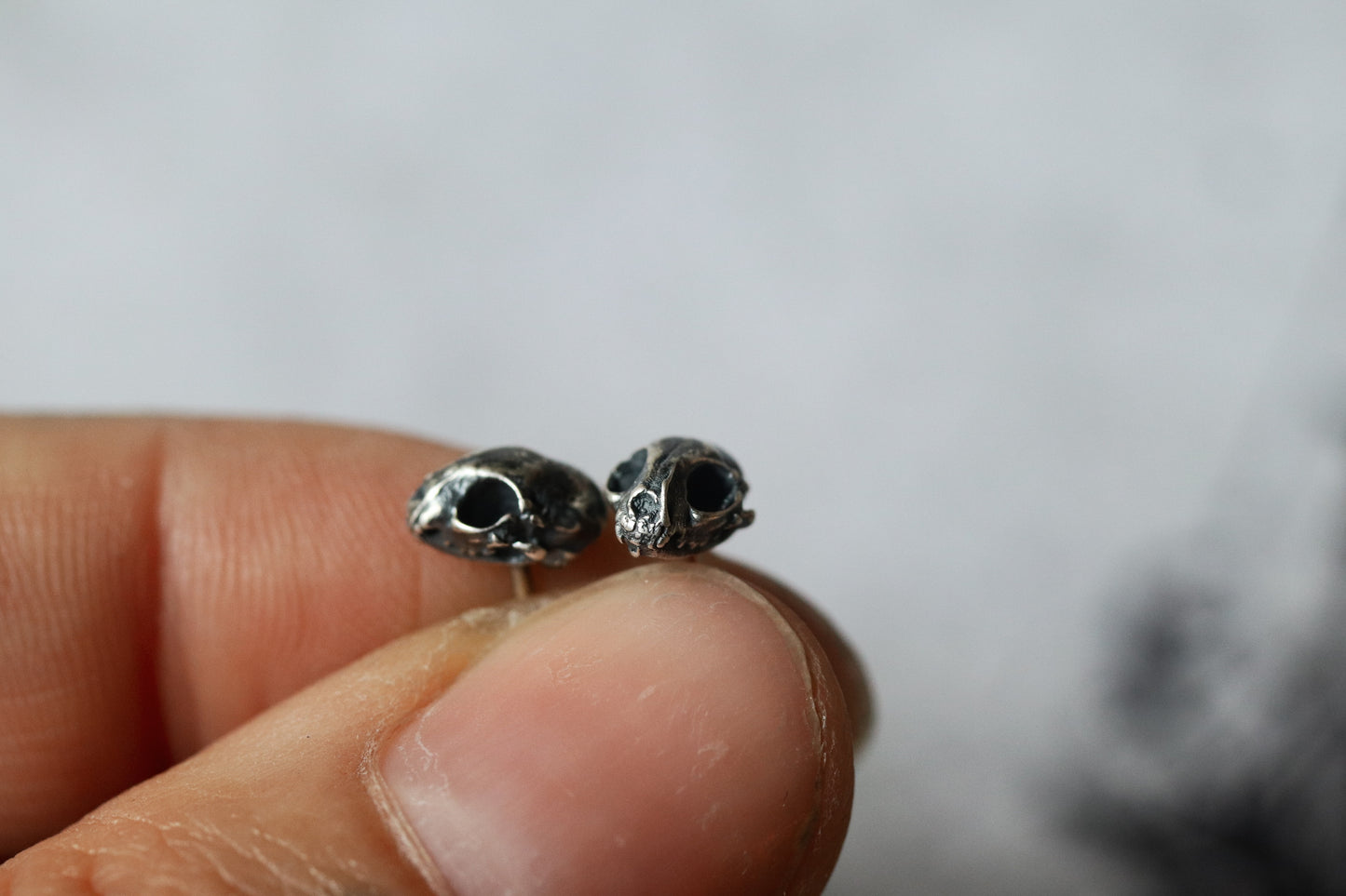 Mischief | Raccoon Skull Studs